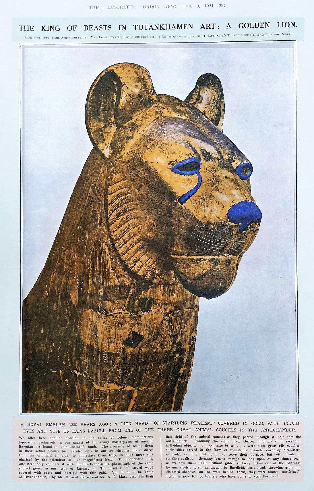 tut Gold Lion